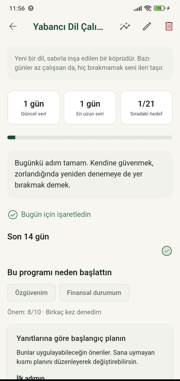 İlerleme ekranı: seri, hedef gün ve günlük kayıtlar
