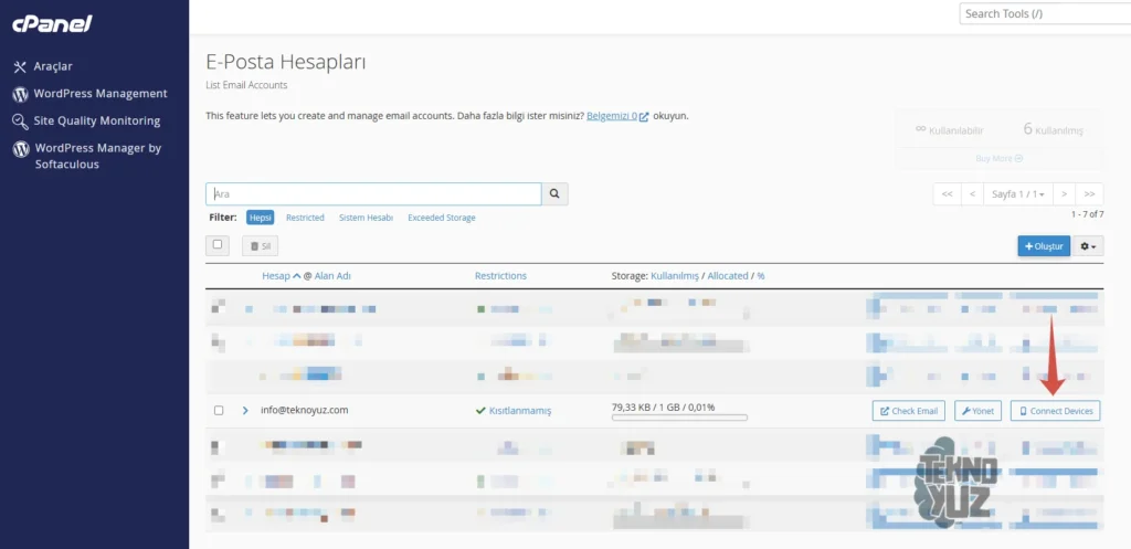 cPanel e-posta Ayarları