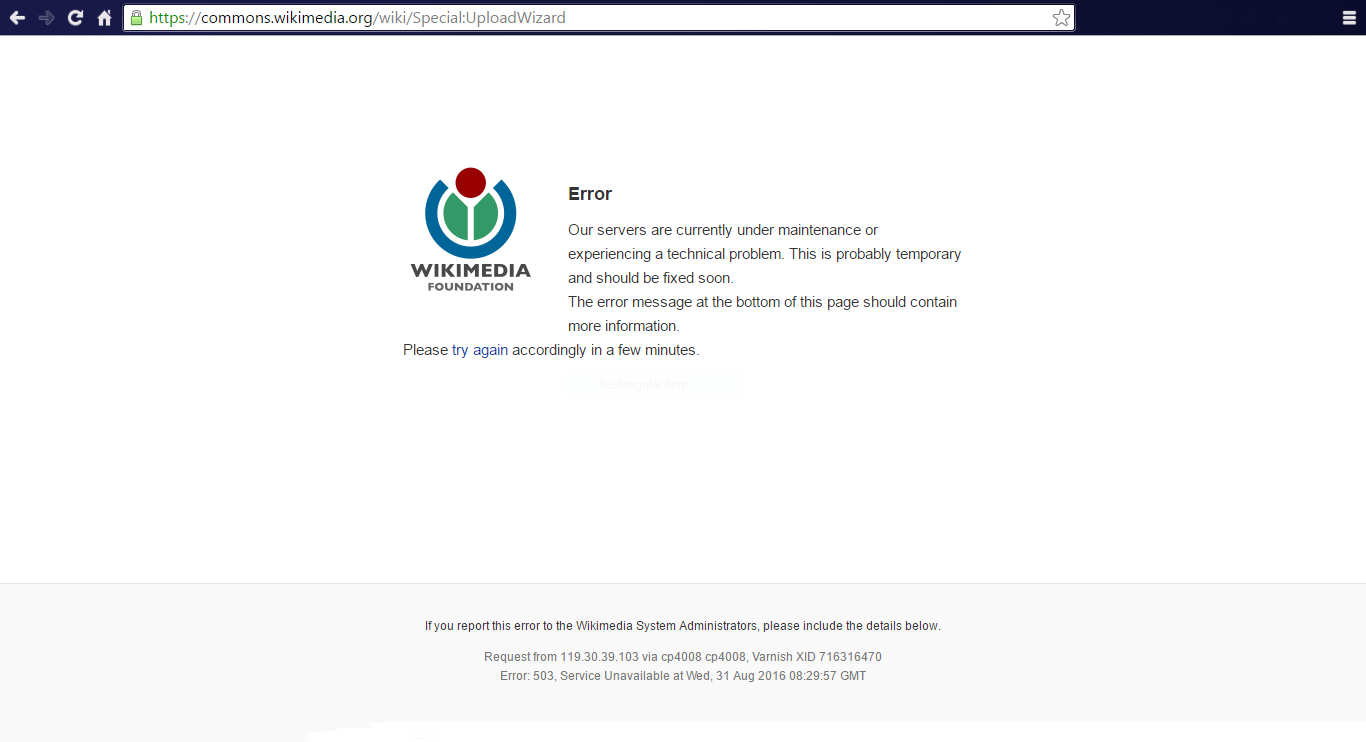 503 Service Unavailable hata ekranı